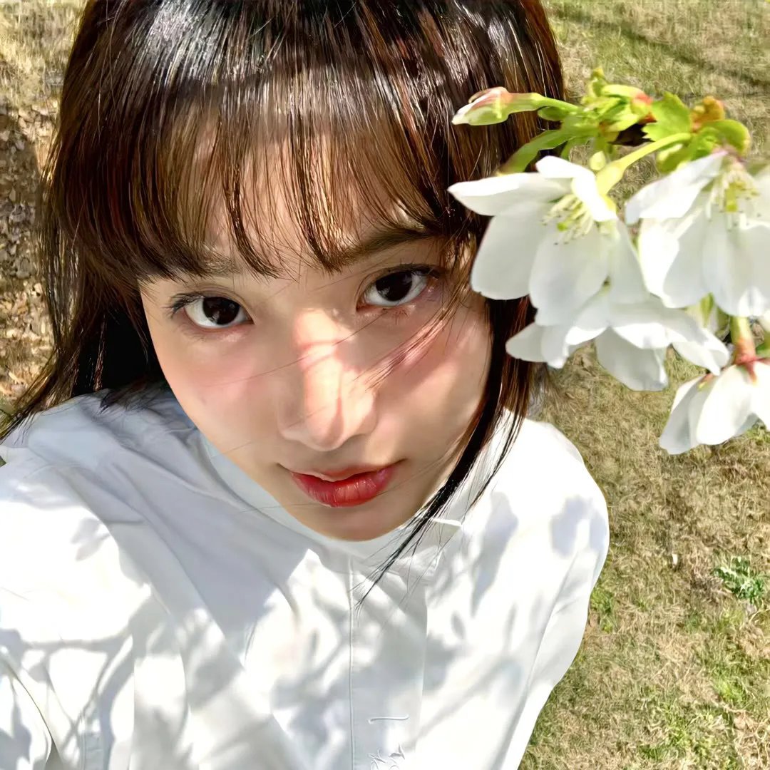 渺小而坚韧
